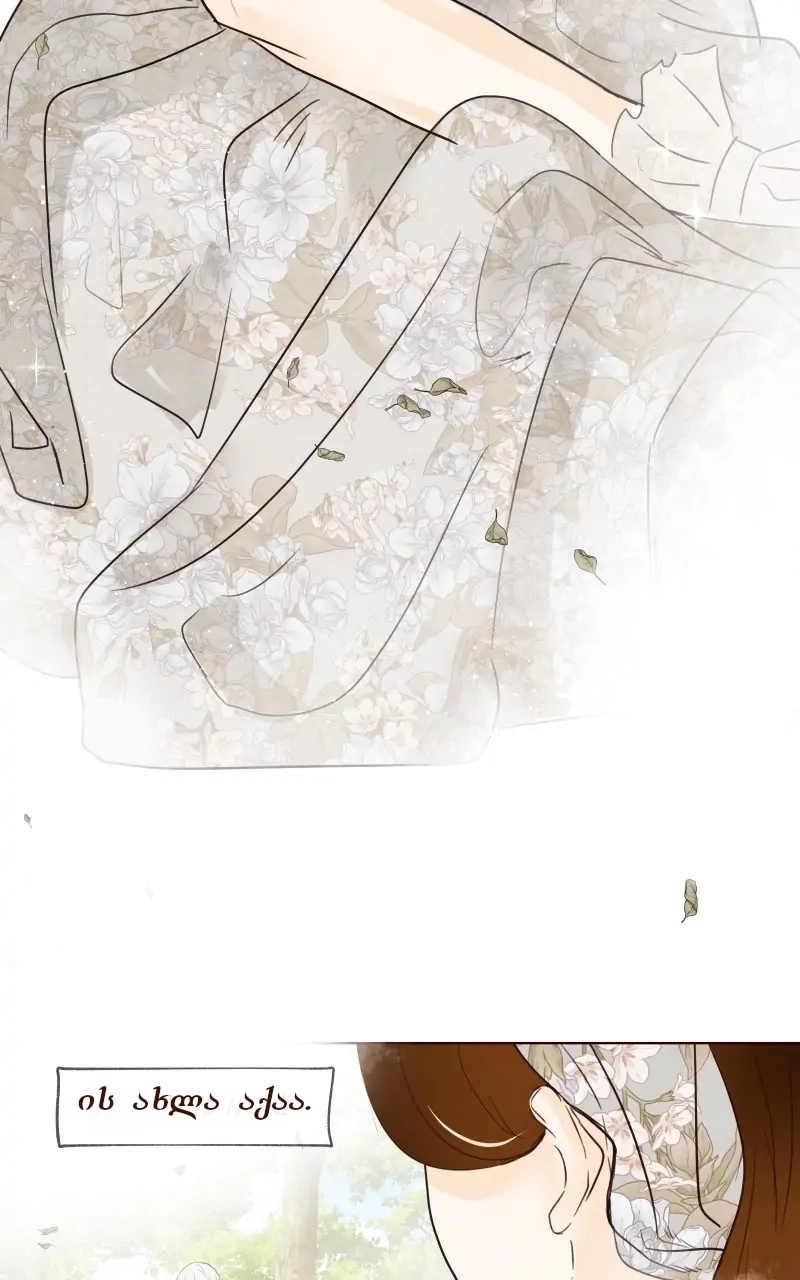 Page (46)